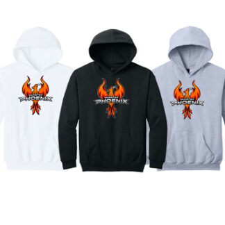 Softstyle®Youth Hoodie SF500B LOGO